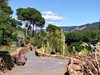 Středomořské rostlinstvo v Jardin de la Concepcion